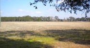 County Road 137 (Lot 1) Branford, FL 32008 - Image 10730117