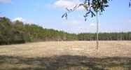 CR 137 &amp; 37th Road (97 Acres) Branford, FL 32008 - Image 10730123