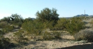 000 Douglas Yucca, AZ 86438 - Image 10759961