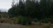 766 S Wolf Road Big Lake, AK 99652 - Image 10895776