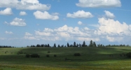 000 Old Homestead Road White Bird, ID 83554 - Image 10943836