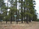 1672 Merzville Rd Lot 27 Forest Lakes Forest Lakes, AZ 85931 - Image 10945552