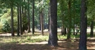 Highgate Dr- Lot 31 Greensboro, GA 30642 - Image 11008712