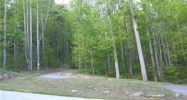 Lot 10 Cliffs Valley (Apn# 06642001 Travelers Rest, SC 29690 - Image 11068741