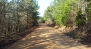 0 Olen Mills Rd Guin, AL 35563 - Image 11073904