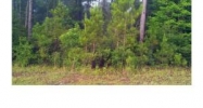 Lot 36 Wilkins Creek Ct Spanish Fort, AL 36527 - Image 11086742