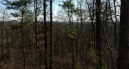 0 Emory Road Talking Rock, GA 30175 - Image 11105068