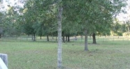 NE HWY 337 Bronson, FL 32621 - Image 11135462