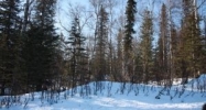 13818 E Wilderness Lane Palmer, AK 99645 - Image 11148969