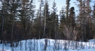 13850 E Wilderness Lane Palmer, AK 99645 - Image 11178703