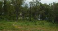 56 Swan Green Forest, AR 72638 - Image 11197280