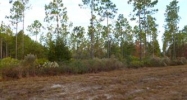 Land  Lot 86 Third L Jesup, GA 31546 - Image 11209019