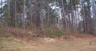 150 Bear Court Ball Ground, GA 30107 - Image 11228866