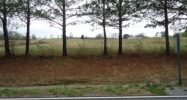 0 HWY 55 Eva, AL 35621 - Image 11269991