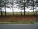 0 HWY 55 Eva, AL 35621 - Image 11272865