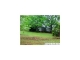 2650 CHULA VISTA MTN RD Pell City, AL 35125 - Image 11347530