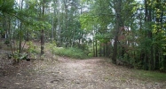 0 Arnold Road Fairmount, GA 30139 - Image 11368903