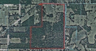 NW HWY 318 Reddick, FL 32686 - Image 11377826