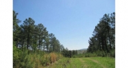 207 Calico Valley Road Ne Rydal, GA 30171 - Image 11412790