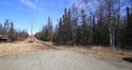 A006 Tazlina Drive Palmer, AK 99645 - Image 11419455