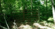 12 Bull Gap Road Talking Rock, GA 30175 - Image 11434375