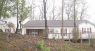 164 Riverwood Dr Blue Ridge, GA 30513 - Image 11470927