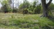 000 Co Rd 604 Hanceville, AL 35077 - Image 11480642