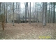 24 Lonna Ct Pittsboro, NC 27312 - Image 11481745