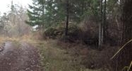 Nhn Lot 8 Fallingreen Estates (Apn# Friday Harbor, WA 98250 - Image 11513705