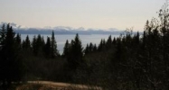 560 Fireweed Avenue Homer, AK 99603 - Image 11597418