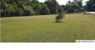 7684 HWY 11 Springville, AL 35146 - Image 11631316