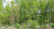 0 Hwy 72 Cherokee, AL 35616 - Image 11647170