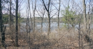 23rd Lane Lot 1 Wild Rose, WI 54984 - Image 11659682