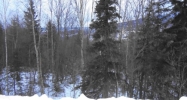 L9 B3 Stonehill Eagle River, AK 99577 - Image 11666728