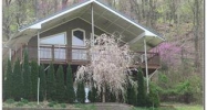 601 Doran Hollow Rd Blountville, TN 37617 - Image 11685146