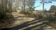 4379 County Rd 31 Rose Hill, MS 39356 - Image 11722833