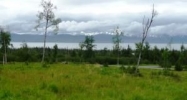 L7 B2 Triple Crown Estates Homer, AK 99603 - Image 11724248