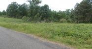 0 CO RD 223 Hanceville, AL 35077 - Image 11751796