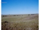 7275 Country Road 126.5 Carr, CO 80612 - Image 11754703