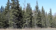 4040 S Old Glenn Highway Palmer, AK 99645 - Image 11756746