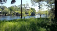 NW 117TH PLACE Branford, FL 32008 - Image 11807727