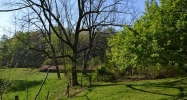 385 Dean Trail Talking Rock, GA 30175 - Image 11809636