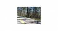 6 Lumber Company Road Talking Rock, GA 30175 - Image 11814521