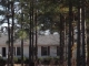 446 Beulah Road Ruby, SC 29741 - Image 11821366