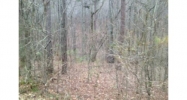 0 Mountain Breeze Trail Ball Ground, GA 30107 - Image 11931153