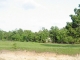 17303 Auction Barn Arendtsville, PA 17303 - Image 11945438