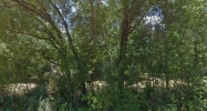 245Th Street Fort Mc Coy, FL 32134 - Image 11961851