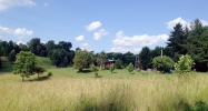 691 Paul Trent Road Sneedville, TN 37869 - Image 11988098