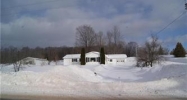 12487  Afton Road Wolverine, MI 49799 - Image 11991165