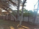 17 Mile Dr Pebble Beach, CA 93953 - Image 12005965